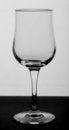 Free Wine Glass Royalty Free Stock Photos - 3993008