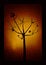 Free Just A Tree Royalty Free Stock Photos - 3998068
