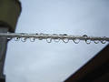 Free Hanging Drops Stock Images - 41574