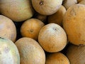 Free Cantaloupe Royalty Free Stock Image - 402496