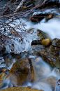 Free Icy Stream Stock Photo - 404060