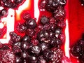 Free Squished Berry S Stock Photo - 409730