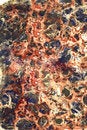 Free Marbled Paper Royalty Free Stock Photography - 4001237