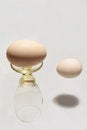 Free Wonders Of  Hard-boiled Egg Stock Image - 4007291