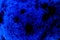Free Blue Sponge Stock Photos - 4007153