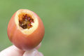 Free Juicy Tamarillo Royalty Free Stock Photo - 4013265