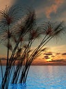 Free Water Grass Royalty Free Stock Photos - 4027398