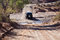 Free Crossing The River Stock Photography - 4028682