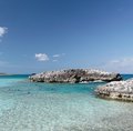 Free Caribbean Reef Royalty Free Stock Photo - 4042025