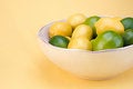 Free Bowl Of Lemons And Limes. Royalty Free Stock Photos - 4045188
