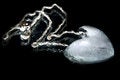 Free Ice Heart On Collar Royalty Free Stock Photo - 4048305