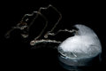 Free Ice Heart On Collar Royalty Free Stock Photography - 4048357