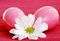 Free Pink Eggs And White Flower Stock Photos - 4041063