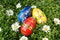 Free Easter Eggs In Grass Stock Photos - 4044733