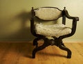 Free Ornate Roman Styled Chair Stock Photos - 4063293