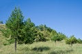 Free Nature Of Siberia Royalty Free Stock Images - 4065469