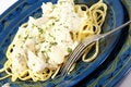 Free Chicken Alfredo Stock Photo - 4069100