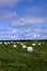 Free Field Of Bales Ii Stock Photos - 4069733
