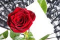 Free Love Message Royalty Free Stock Photography - 4072227