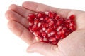 Free Pomegranate Seeds On Human Palm Stock Image - 4073671