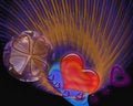 Free Love And Diamonds Stock Photography - 4076642