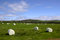 Free Field Of Bales Iii Stock Photos - 4070973