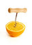 Free Orange Corkscrew Squeezer Stock Photo - 4072150