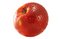 Free Apple Stock Photography - 4074182