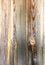 Free Wood Royalty Free Stock Photo - 4074205