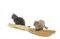 Free Two Kitties Stock Image - 4081581