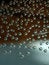 Free Bubbles Royalty Free Stock Photo - 4086685
