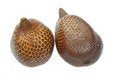 Free Salak Or Snake Fruit Royalty Free Stock Photography - 4091167