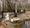 Free Pelicans In Zoo Stock Image - 4095411
