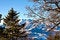 Free Mountain Scene Stock Images - 4095944