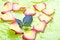 Free Heart With Petals. Stock Image - 4099821