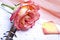 Free Pink Rose And Calendar. Stock Photo - 4099930