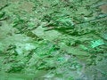 Free Alien Blood Texture Royalty Free Stock Image - 410606