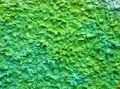 Free Graffiti Background Stock Photo - 411060