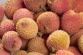 Free Tasty Litchi Royalty Free Stock Photography - 415527