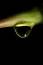 Free Water Drop On Stem Stock Photos - 416923