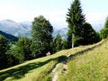 Free High Path Royalty Free Stock Photos - 4104468