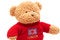 Free Brown Teddy Bear In Red Sweater On White Stock Images - 4103934