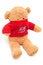 Free Brown Teddy Bear In Red Sweater On White Royalty Free Stock Images - 4103969