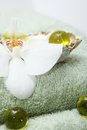Free Bath Time Royalty Free Stock Photography - 4115147