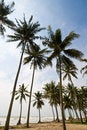 Free Seaside View Royalty Free Stock Images - 4125659