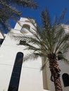Free Hospital-Vertical With Palms Royalty Free Stock Photography - 4130897