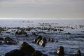 Free Two Men Rowing On Ocean Royalty Free Stock Photo - 4136685
