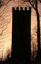 Free Spooky Tower Royalty Free Stock Photo - 4138555