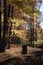 Free Fall Season In CT. Royalty Free Stock Image - 4133006