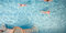 Free Morning Swim In The Public Baths Stock Photos - 4135953